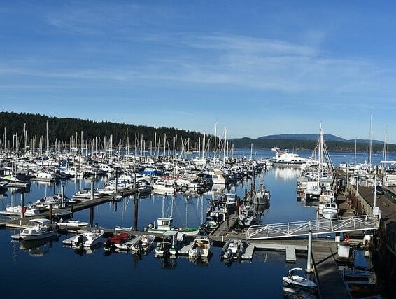 Photo Gallery · Inn at Ship Bay Orcas Island B&B